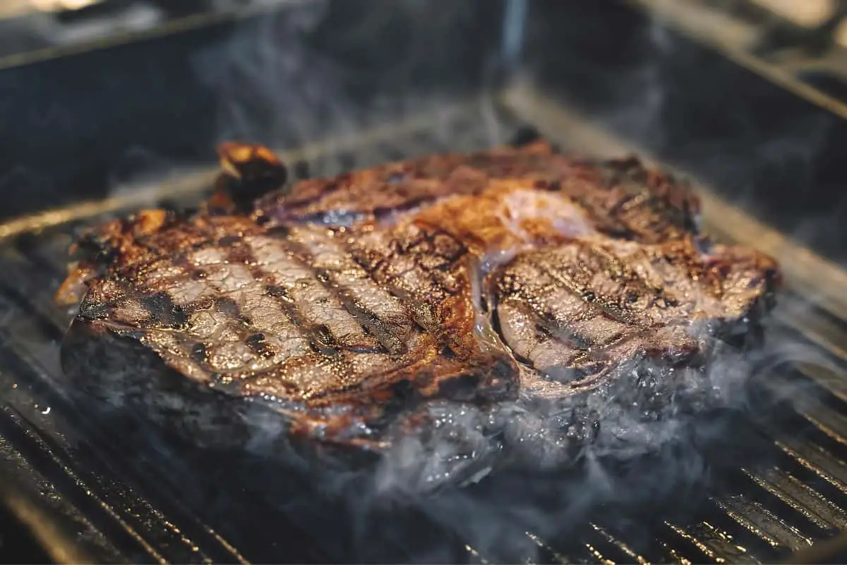 Can you Sear on a Traeger?