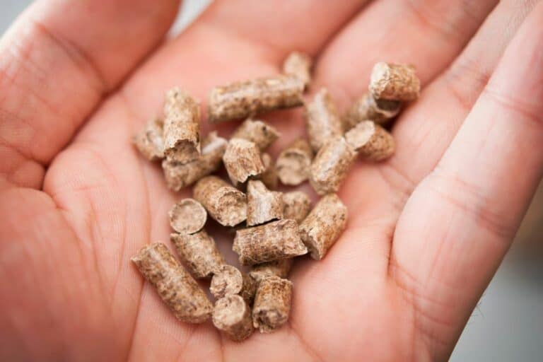 Do Traeger Pellets Have Chemicals? Master The Flames