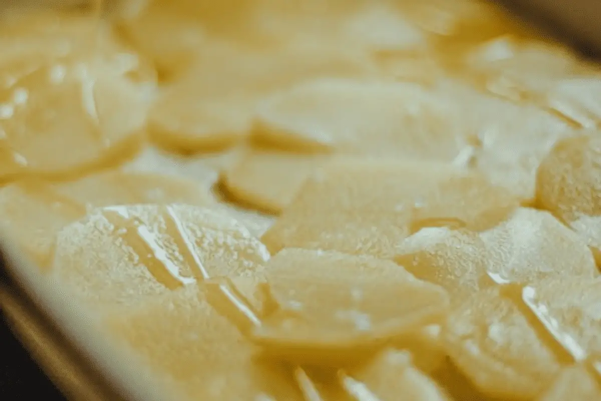 How To Cook Potato Gratin On Your Traeger Grill? (StepByStep Guide